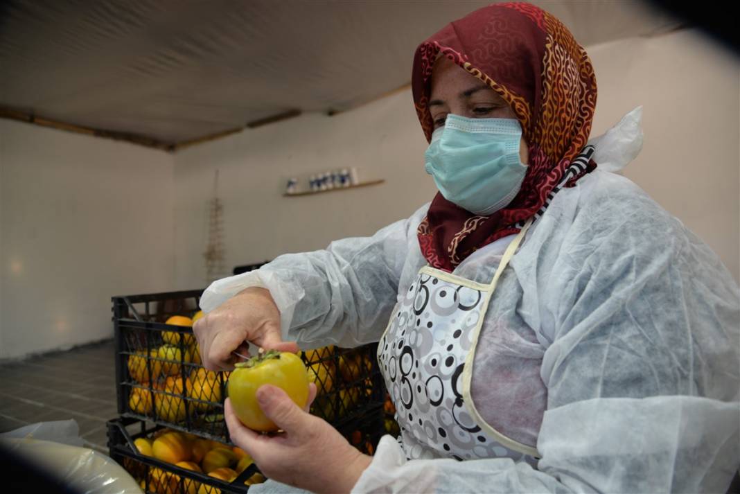 91 yıl önce asker arkadaşından aldı, bugün bir köyün gelir kapısı oldu 13
