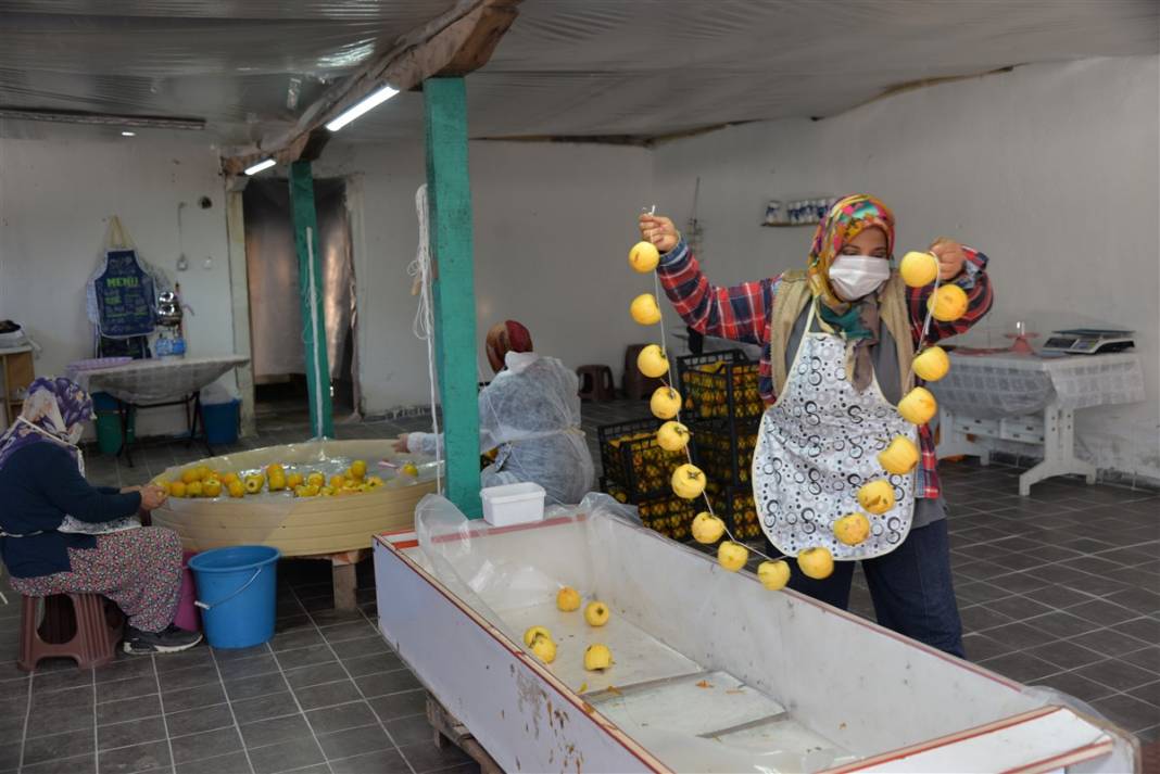 91 yıl önce asker arkadaşından aldı, bugün bir köyün gelir kapısı oldu 14