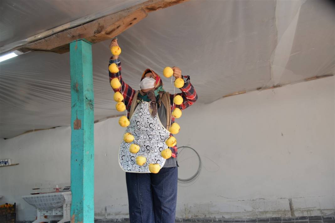 91 yıl önce asker arkadaşından aldı, bugün bir köyün gelir kapısı oldu 15