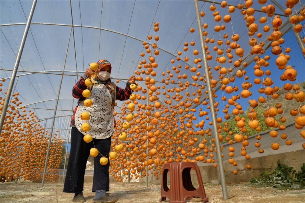 91 yıl önce asker arkadaşından aldı, bugün bir köyün gelir kapısı oldu 17