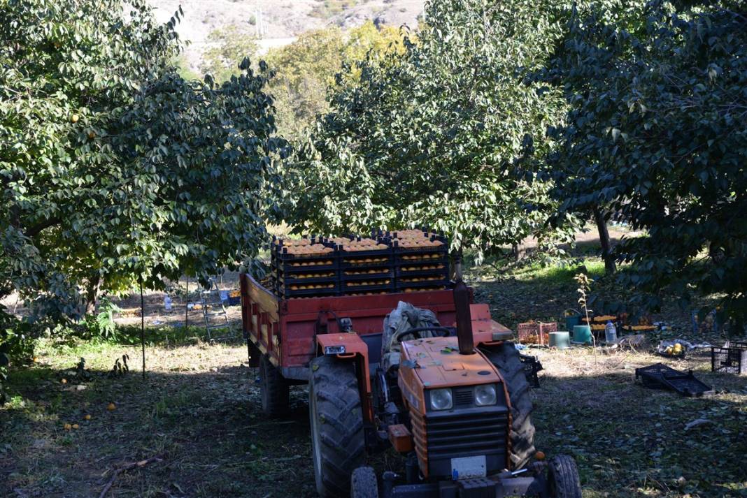 91 yıl önce asker arkadaşından aldı, bugün bir köyün gelir kapısı oldu 19