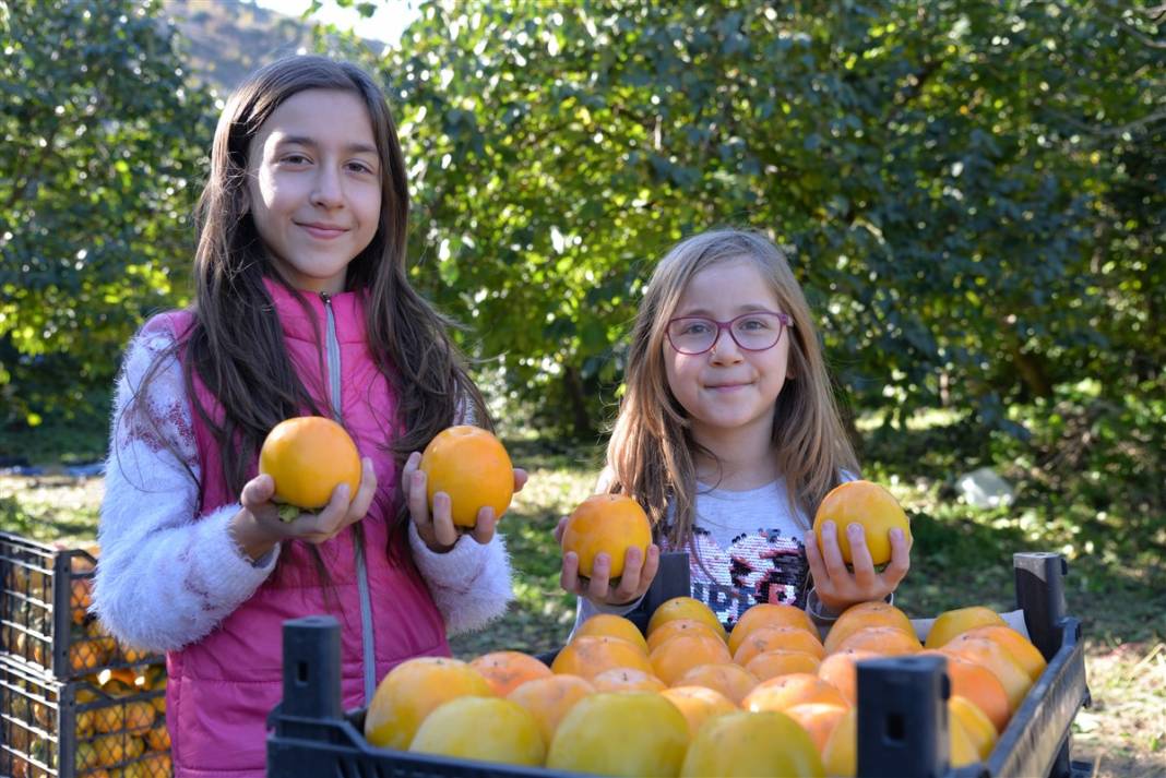 91 yıl önce asker arkadaşından aldı, bugün bir köyün gelir kapısı oldu 23