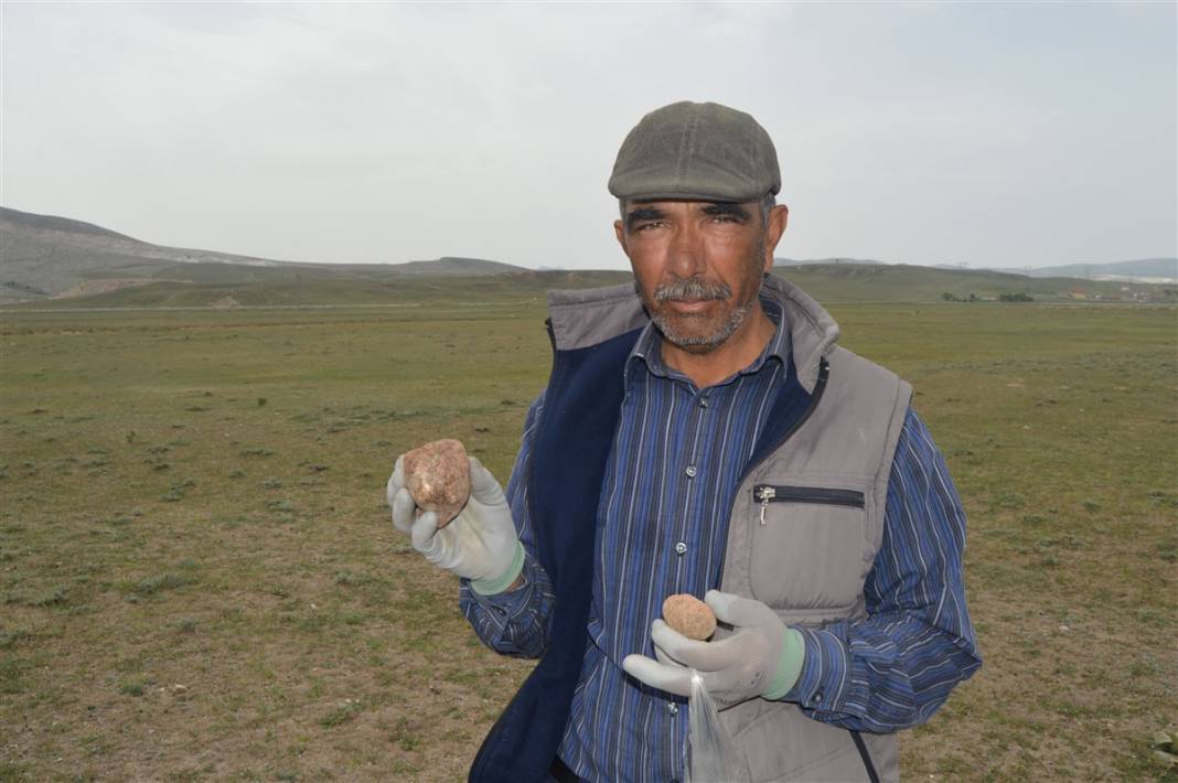 Define arar gibi arıyorlar 2