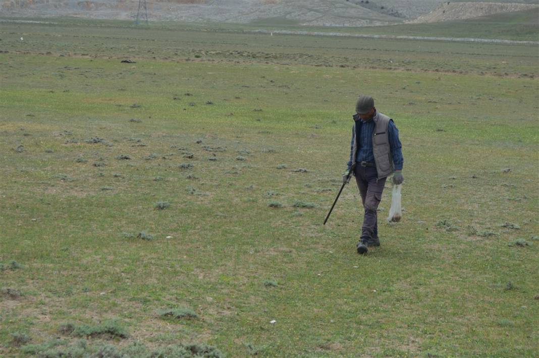 Define arar gibi arıyorlar 4