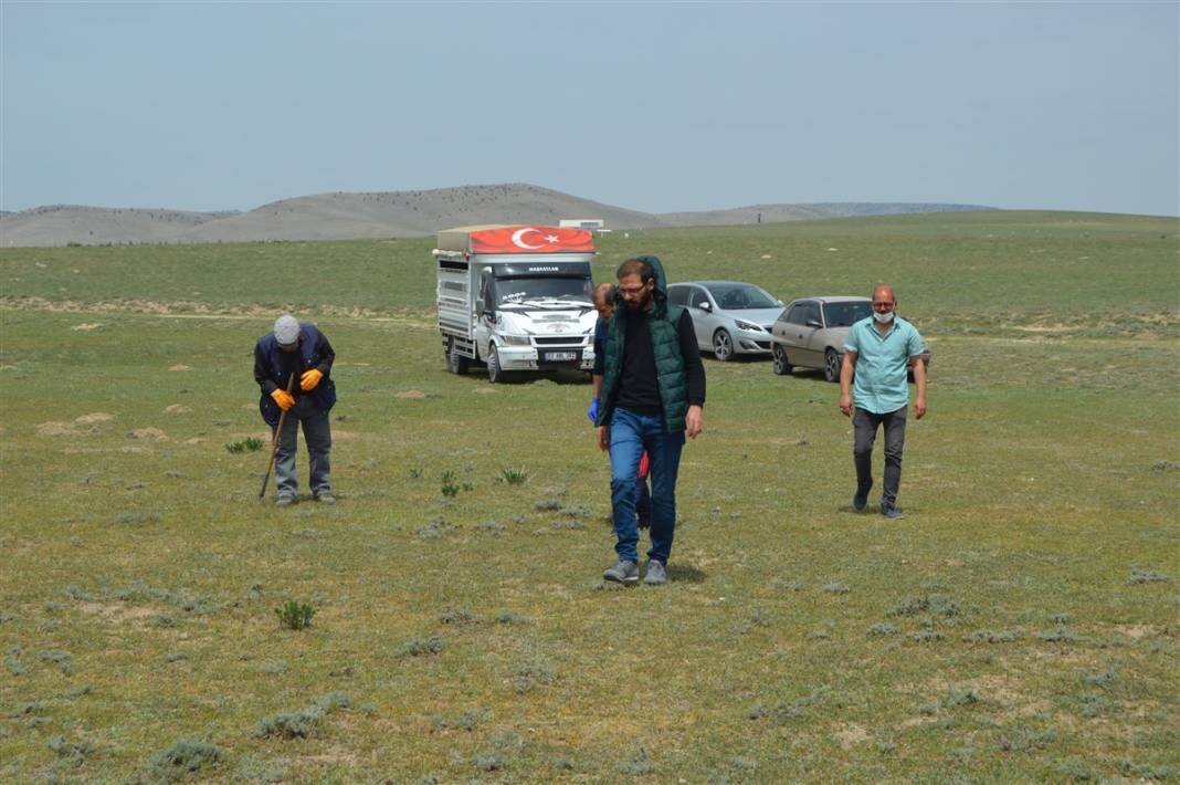 Define arar gibi arıyorlar 8