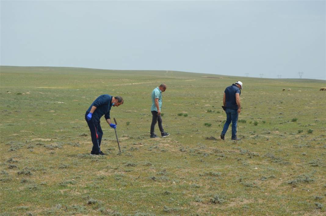 Define arar gibi arıyorlar 9