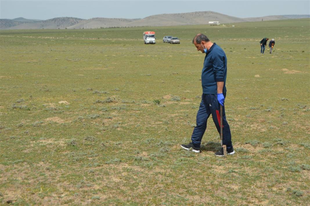 Define arar gibi arıyorlar 10