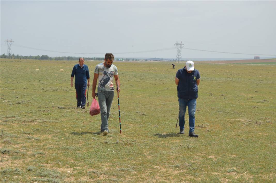 Define arar gibi arıyorlar 11