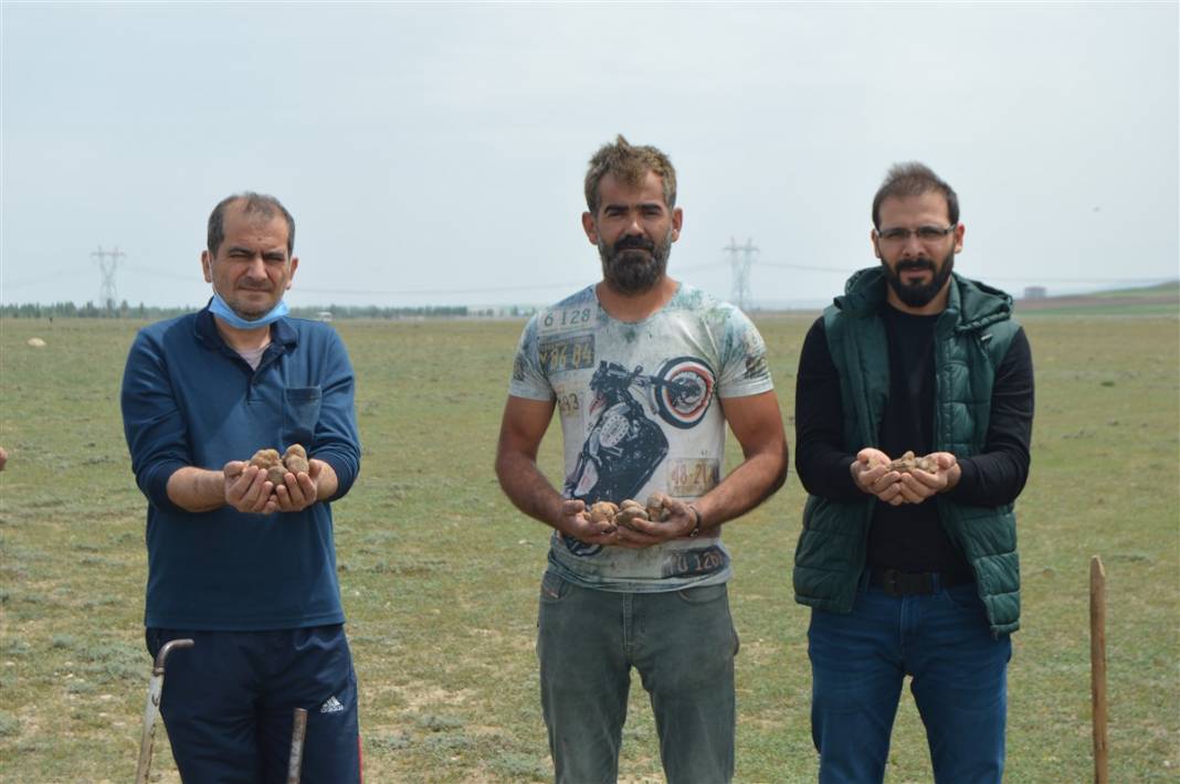 Define arar gibi arıyorlar 13