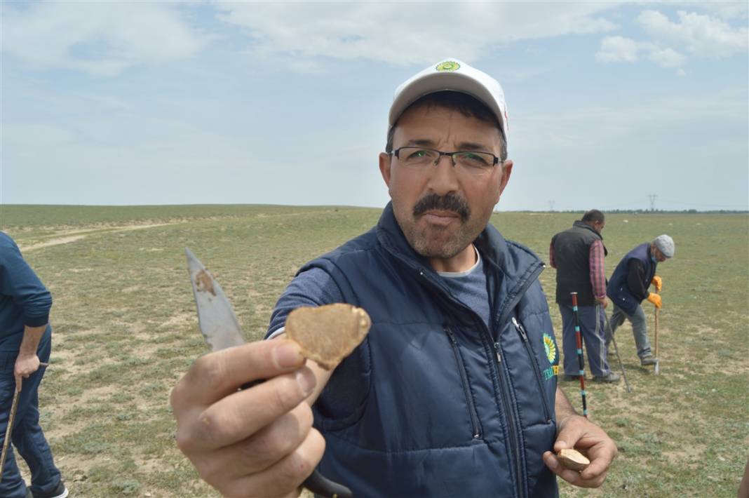 Define arar gibi arıyorlar 14