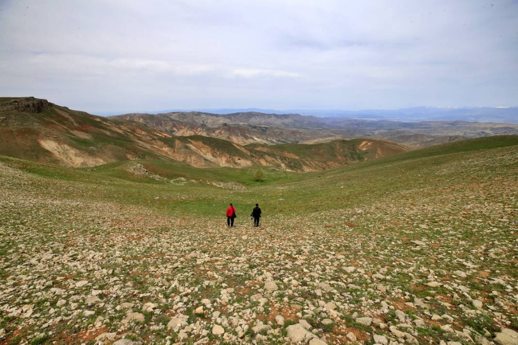 2 bin 340 rakımda tesadüfen bulundu: İnsan bakmaya kıyamıyor 3