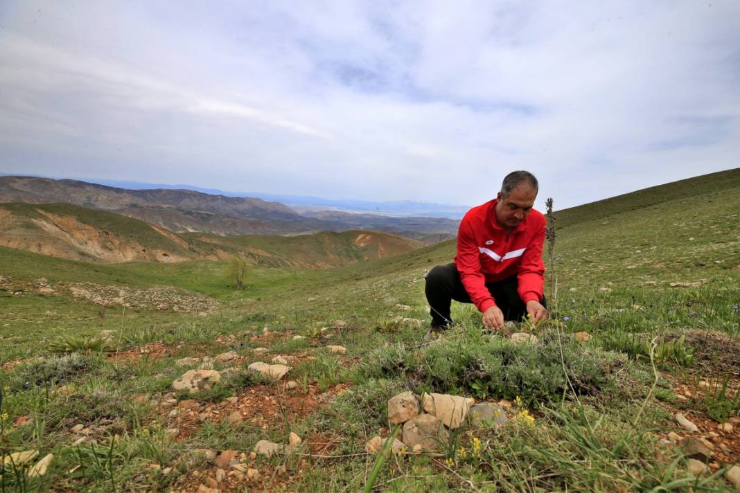 2 bin 340 rakımda tesadüfen bulundu: İnsan bakmaya kıyamıyor 4