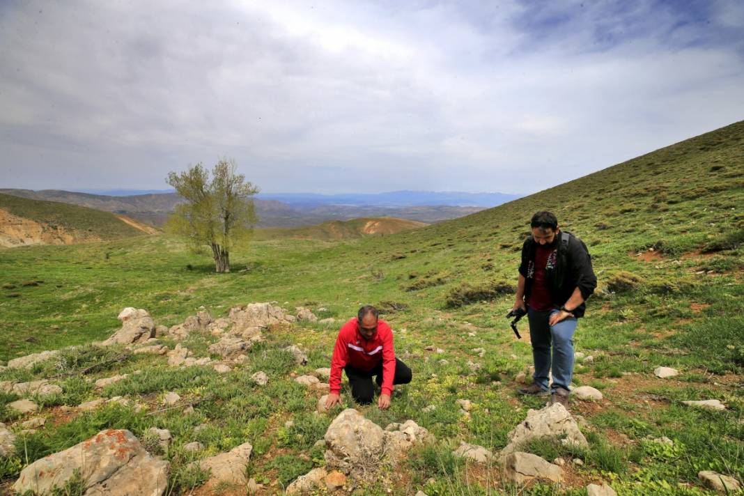 2 bin 340 rakımda tesadüfen bulundu: İnsan bakmaya kıyamıyor 5