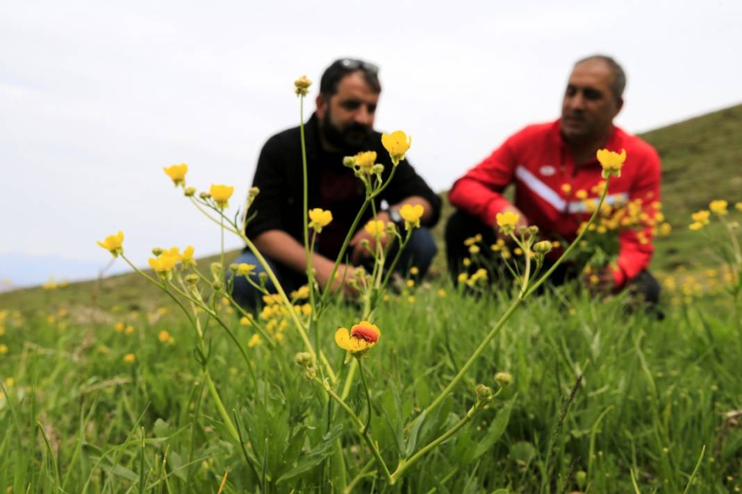 2 bin 340 rakımda tesadüfen bulundu: İnsan bakmaya kıyamıyor 6