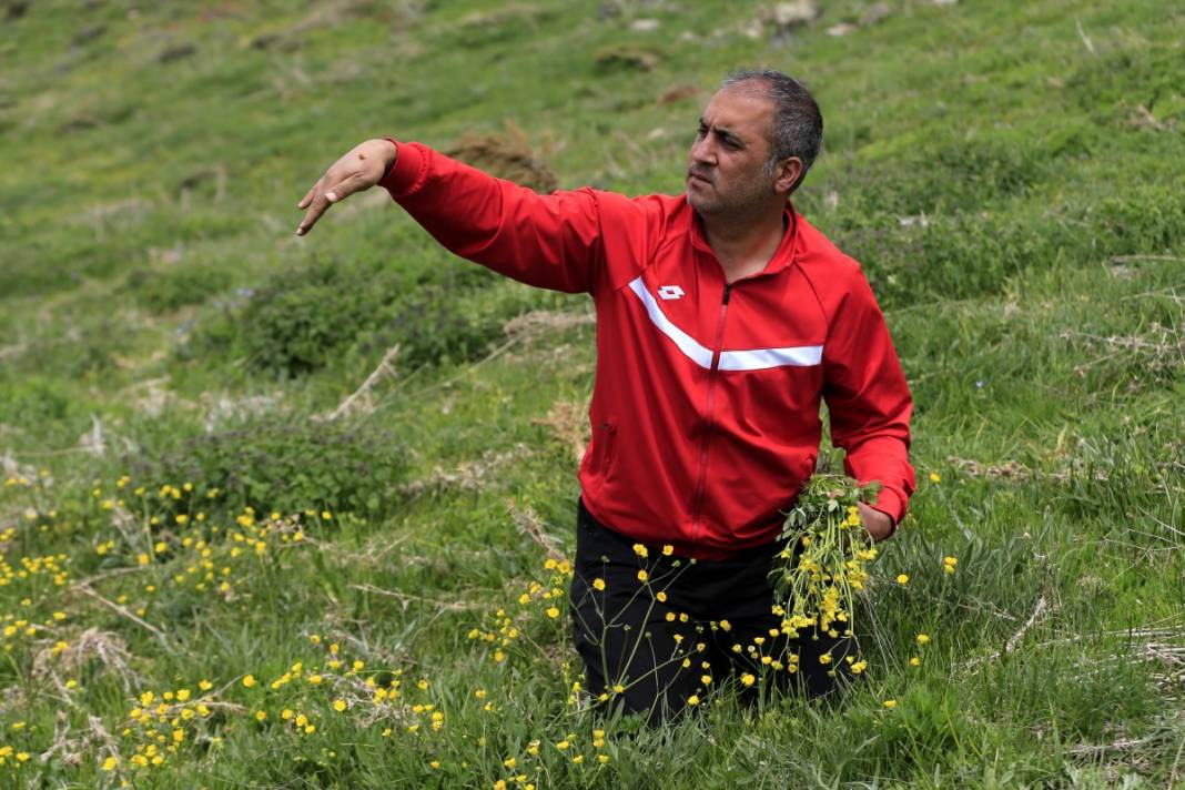 2 bin 340 rakımda tesadüfen bulundu: İnsan bakmaya kıyamıyor 8