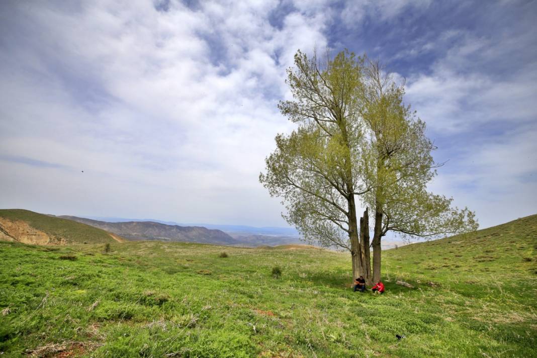2 bin 340 rakımda tesadüfen bulundu: İnsan bakmaya kıyamıyor 11