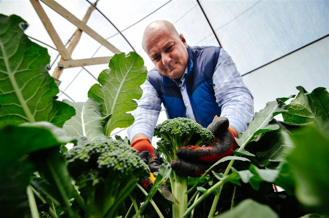 Pandemide hobi olsun diye başladı, şimdi binlerce lira kazanıyor 2