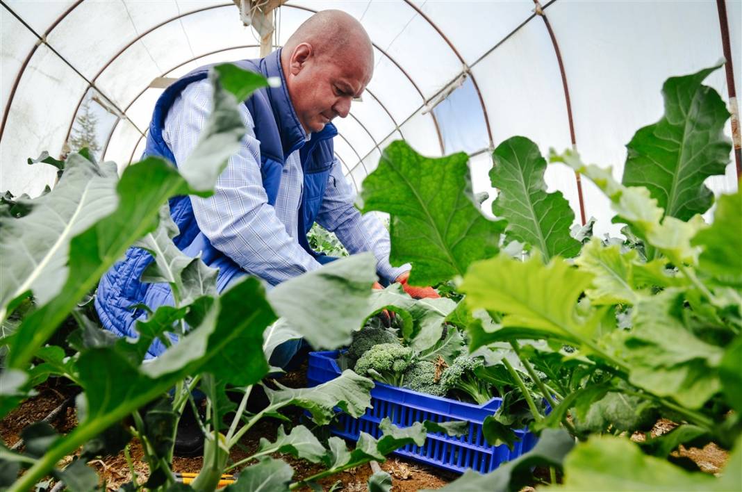 Pandemide hobi olsun diye başladı, şimdi binlerce lira kazanıyor 5