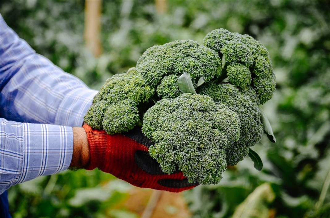 Pandemide hobi olsun diye başladı, şimdi binlerce lira kazanıyor 6