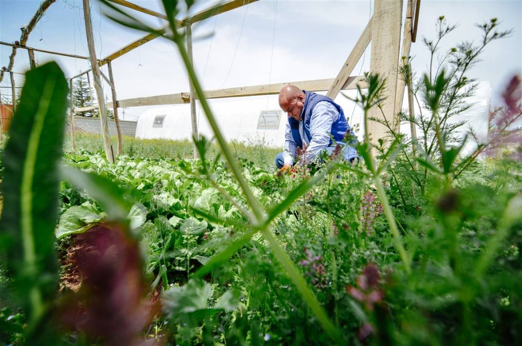 Pandemide hobi olsun diye başladı, şimdi binlerce lira kazanıyor 7