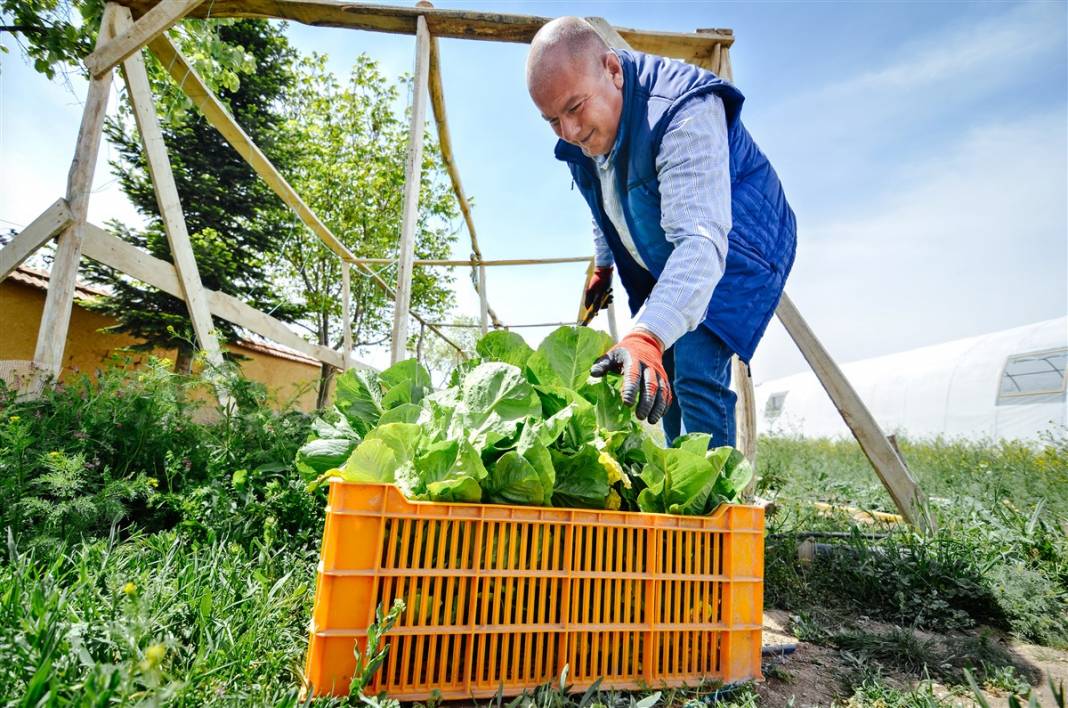 Pandemide hobi olsun diye başladı, şimdi binlerce lira kazanıyor 9