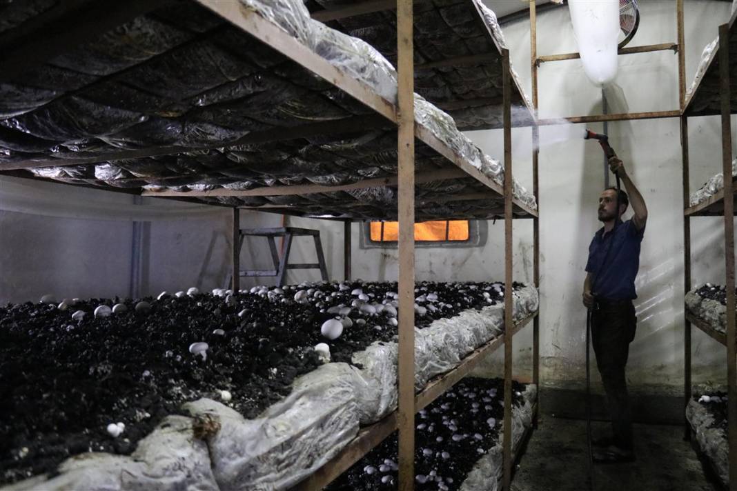 Devlet desteğiyle başladı! 'Beyaz altın' 35 milyon lira kazandırıyor 1