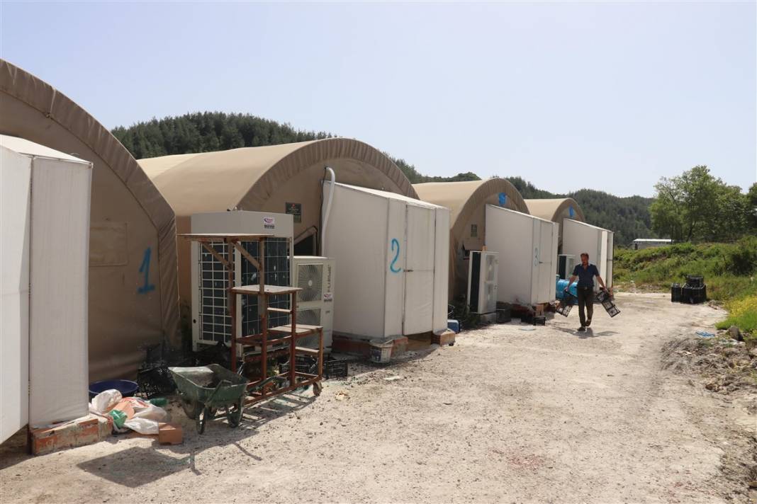 Devlet desteğiyle başladı! 'Beyaz altın' 35 milyon lira kazandırıyor 6