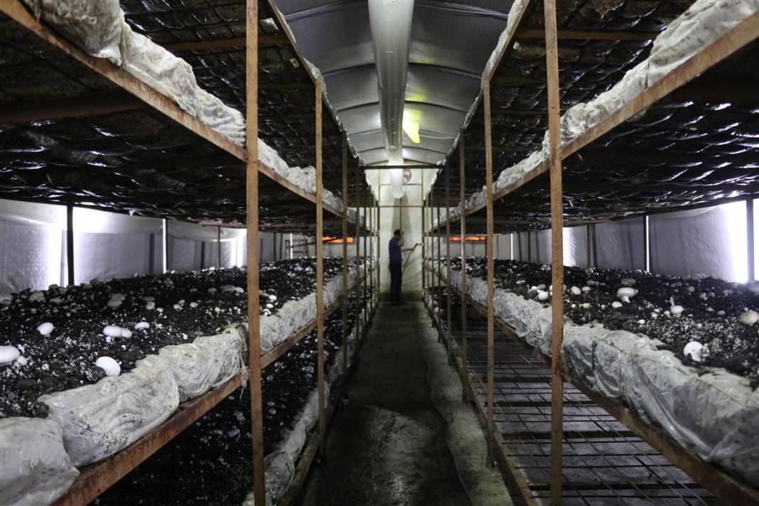 Devlet desteğiyle başladı! 'Beyaz altın' 35 milyon lira kazandırıyor 7