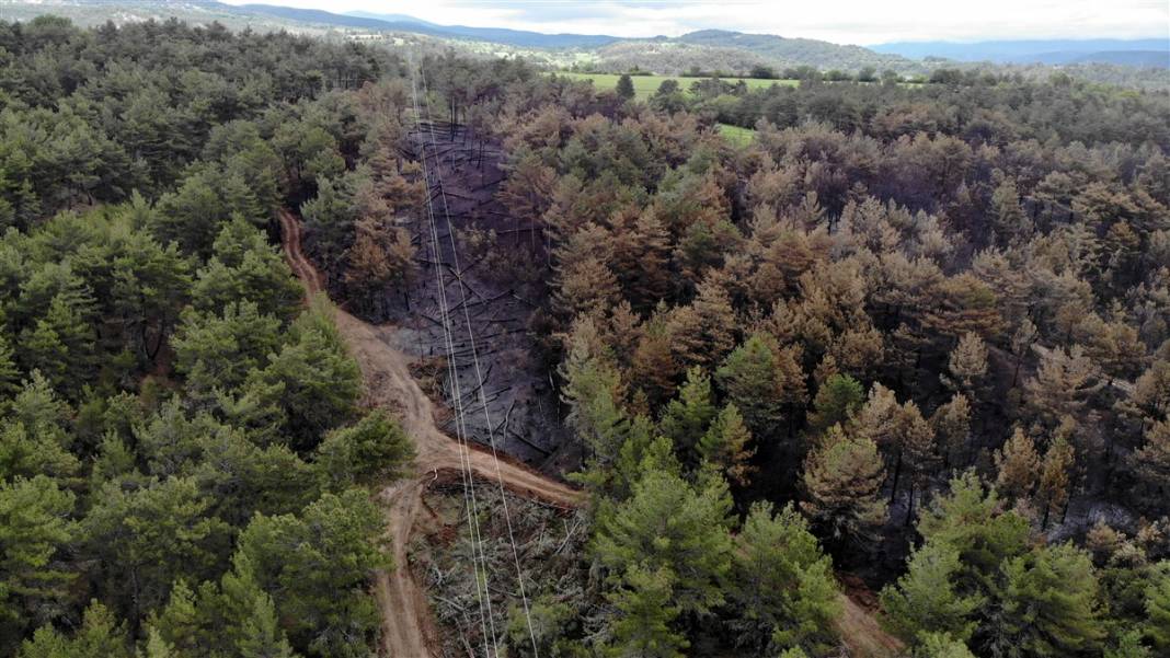 Kastamonu'da orman yangını: 11 hektar alan zarar gördü 5