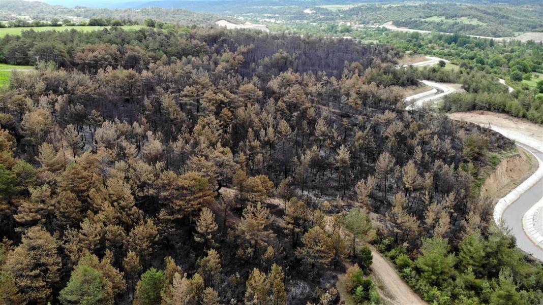 Kastamonu'da orman yangını: 11 hektar alan zarar gördü 6