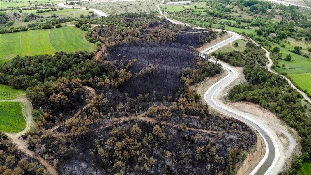 Kastamonu'da orman yangını: 11 hektar alan zarar gördü 7