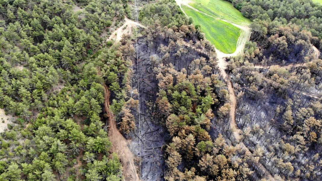 Kastamonu'da orman yangını: 11 hektar alan zarar gördü 8