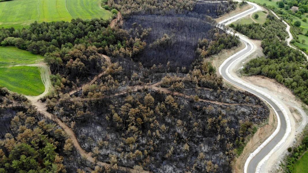 Kastamonu'da orman yangını: 11 hektar alan zarar gördü 9