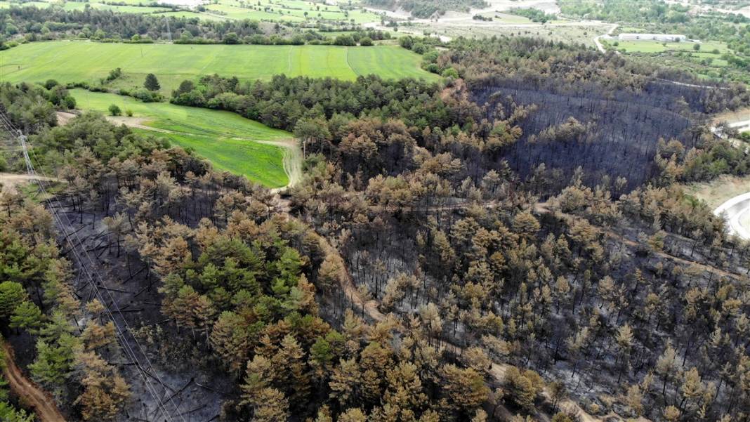 Kastamonu'da orman yangını: 11 hektar alan zarar gördü 10
