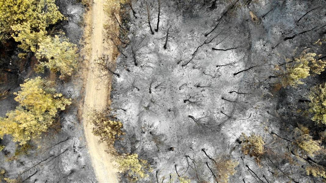 Kastamonu'da orman yangını: 11 hektar alan zarar gördü 11