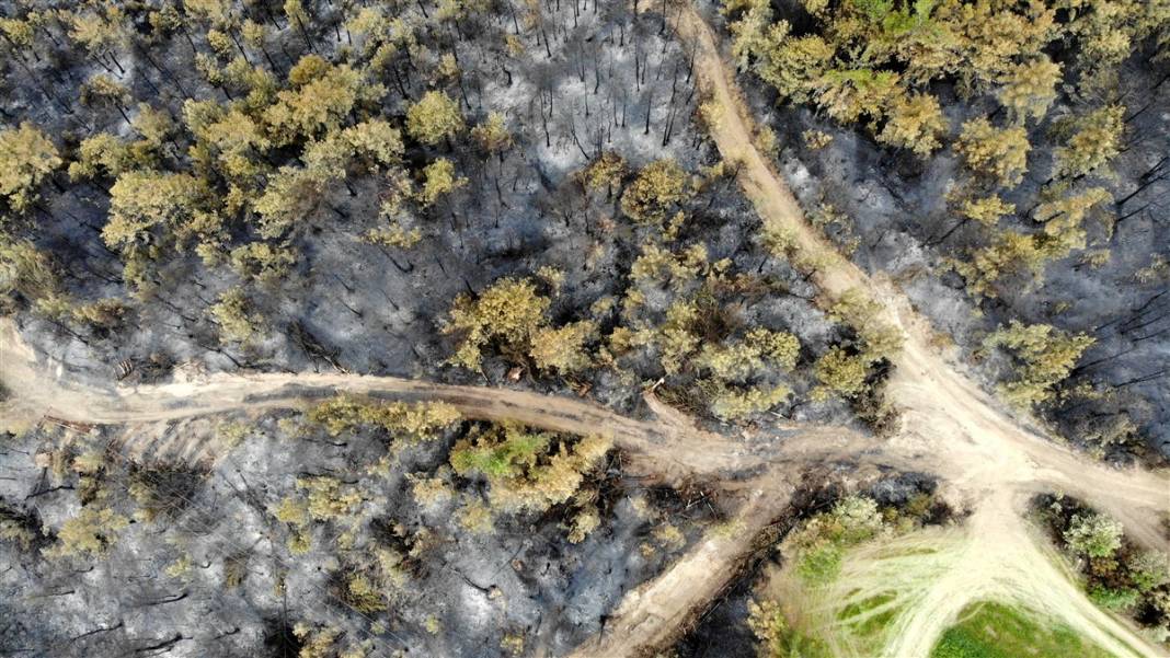 Kastamonu'da orman yangını: 11 hektar alan zarar gördü 13