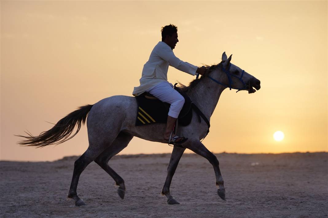 Burası çölün ortasındaki mucize! Görenler gözlerine inanamıyor 10