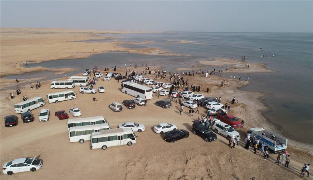 Burası çölün ortasındaki mucize! Görenler gözlerine inanamıyor 13
