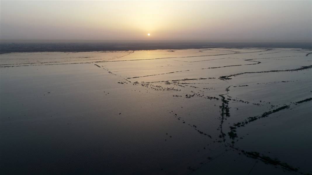 Burası çölün ortasındaki mucize! Görenler gözlerine inanamıyor 38