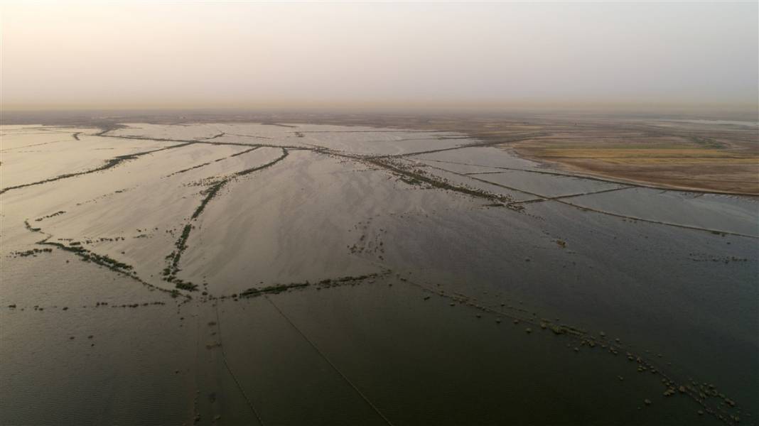 Burası çölün ortasındaki mucize! Görenler gözlerine inanamıyor 39