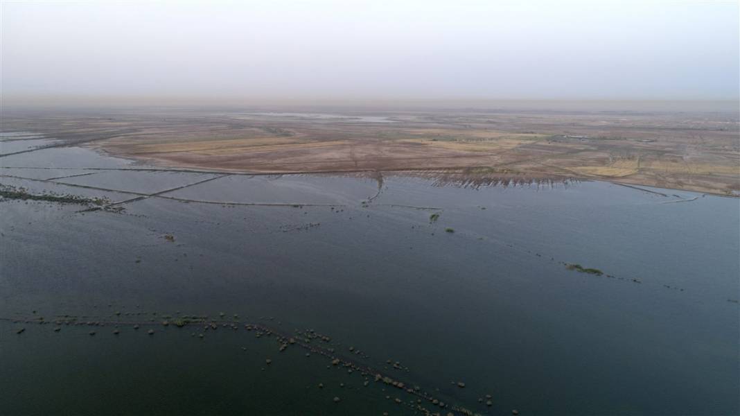 Burası çölün ortasındaki mucize! Görenler gözlerine inanamıyor 40