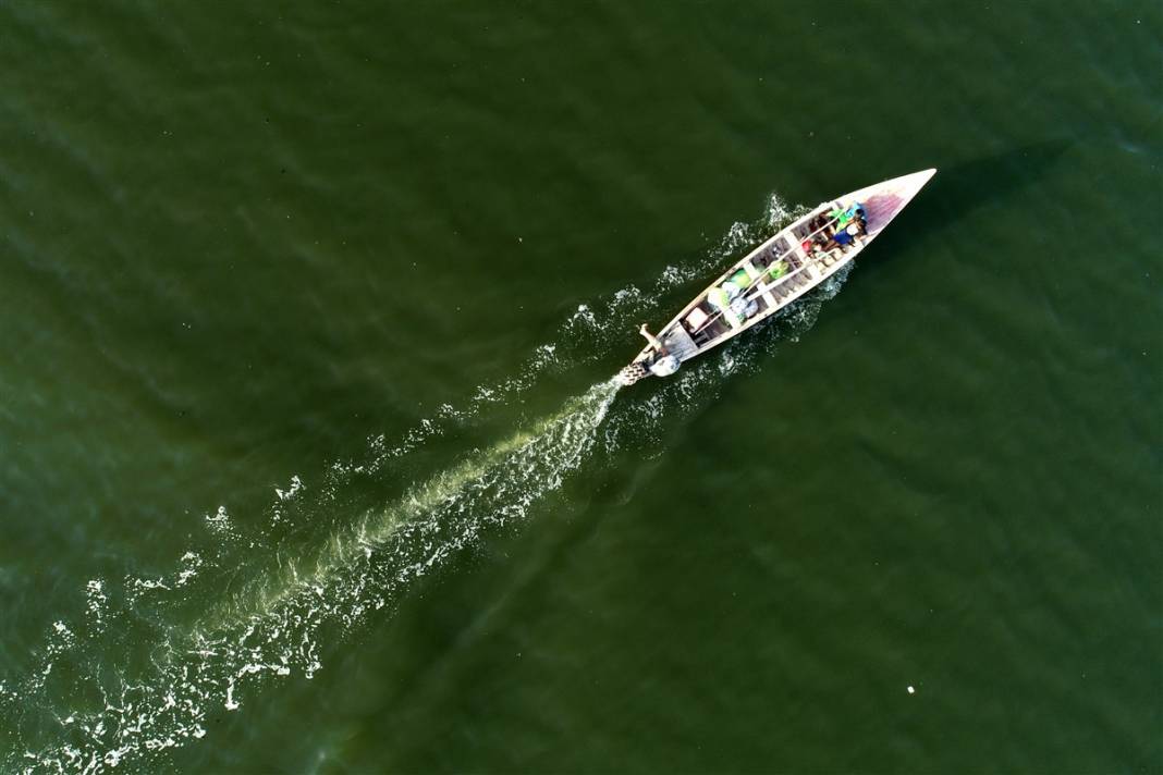 Burası çölün ortasındaki mucize! Görenler gözlerine inanamıyor 53