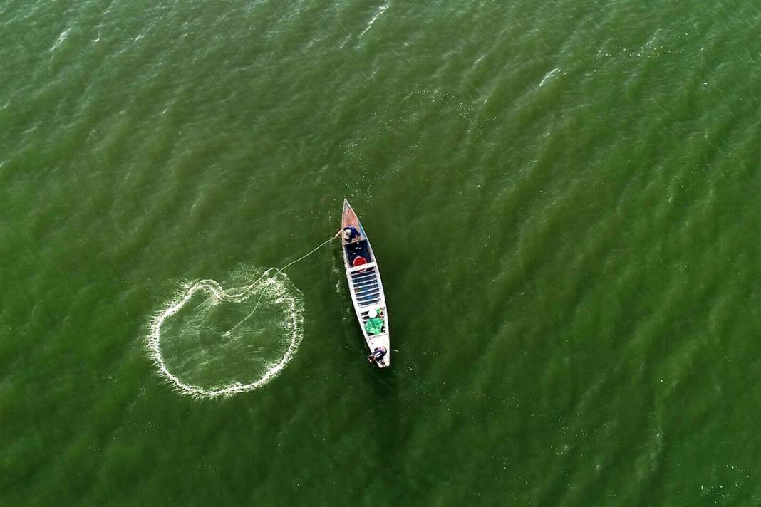 Burası çölün ortasındaki mucize! Görenler gözlerine inanamıyor 54