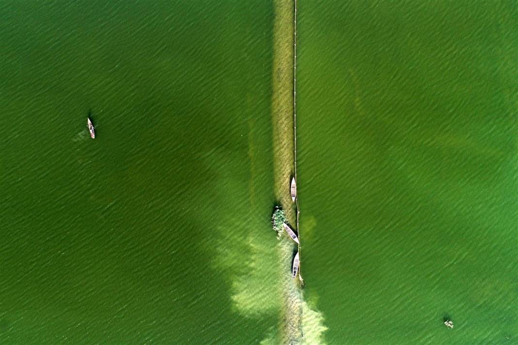 Burası çölün ortasındaki mucize! Görenler gözlerine inanamıyor 56