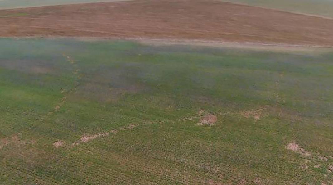 Ülkece yanıyoruz tek normal Marmara 3