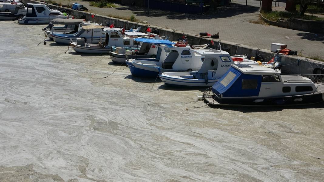 Müsilaj Çanakkale'yi ikiye bölen Sarıçay'ı da kapladı 6