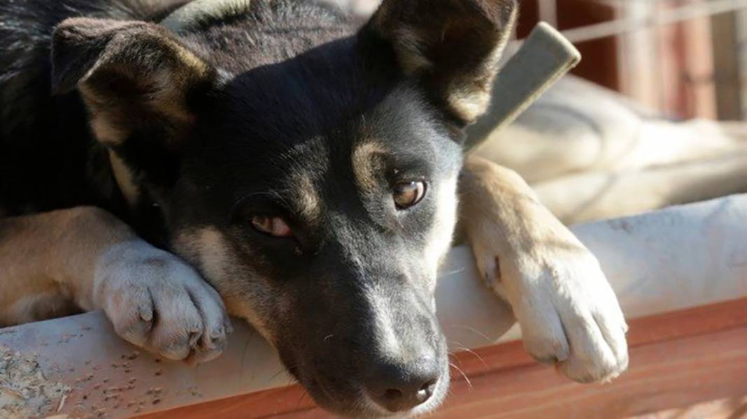 İstanbullular şikayet etmesin! Dünyanın en uzun  trafik sıkışıklığı kaç gün sürdü? 32