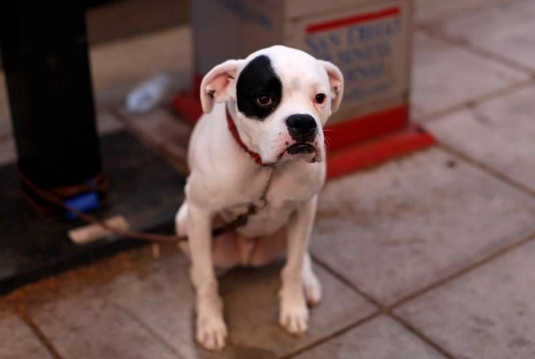 İstanbullular şikayet etmesin! Dünyanın en uzun  trafik sıkışıklığı kaç gün sürdü? 34