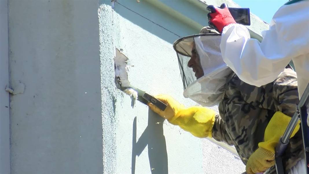 Yıkılan okul duvarındaki inanılmaz manzara 3