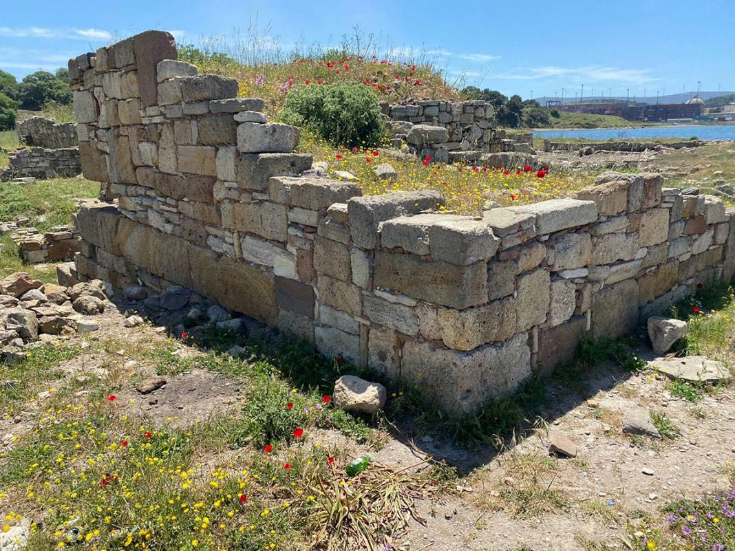 Kyme Antik Kenti'nin son hali yürek sızlatıyor 7